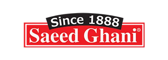 Saeed Ghani