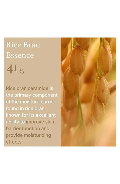 I'm From Rice Cream 50g