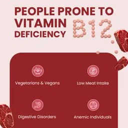 Nutrifactor Vitamin B12 500mcg
