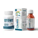 Citowit Ginkgo & Ginseng Brain Supplement