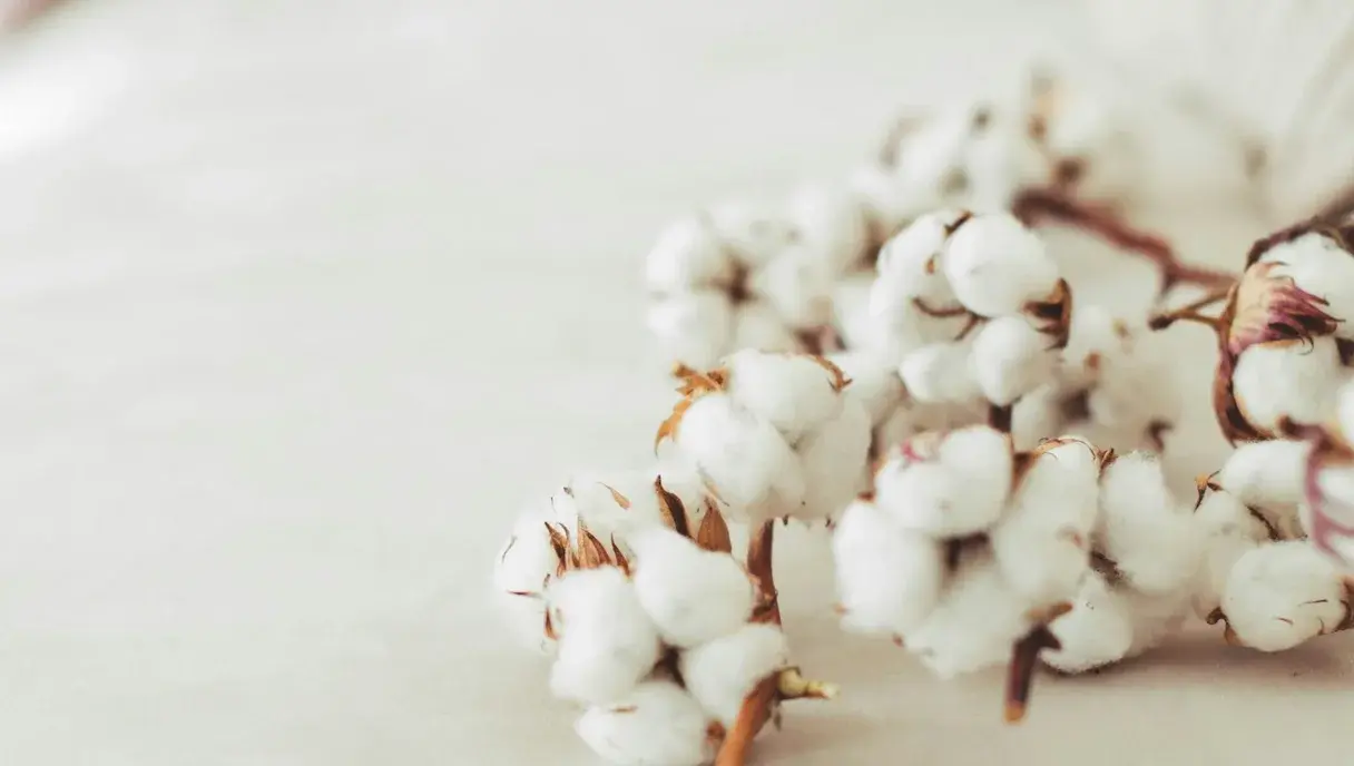 White Discharge (Likoria): Causes, Symptoms & What Helps (Pakistan 2026)